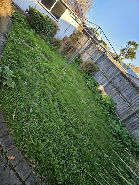 Freshly mown lawn alongside a weatherboard home in North Canterbury