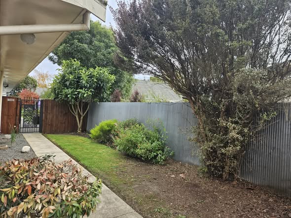 Neat garden bed with trimmed shrubs and cleared soil after a Rangiora property clean-up