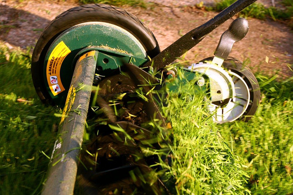 Lawn mower cutting thick green grass for regular lawn mowing in Rangiora